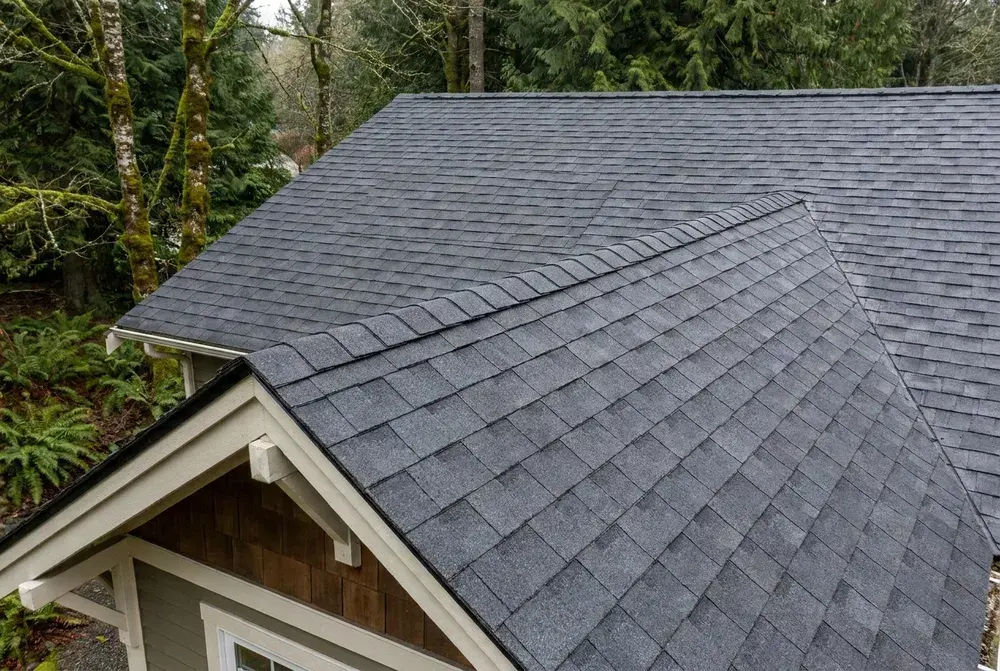 Roof Replacement — Sealed Roofing